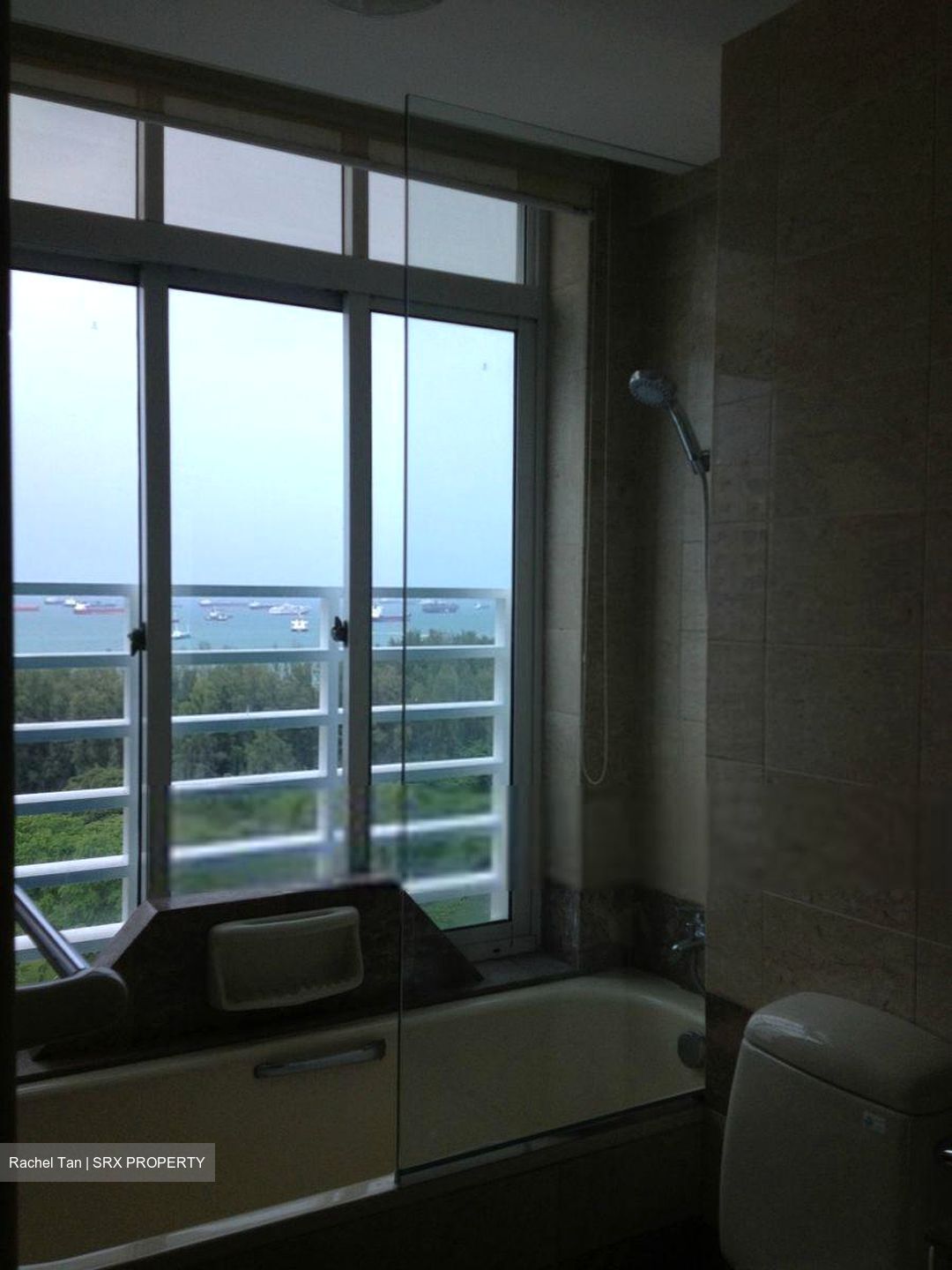 The Atria At Meyer (D15), Condominium #563521821